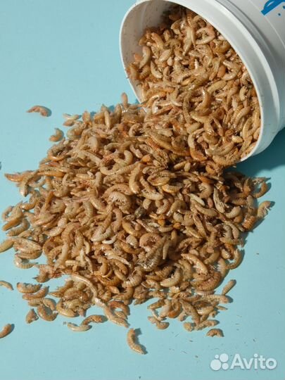 Корм для рыб и черепах