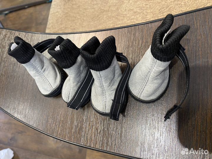 Ботинки для собак