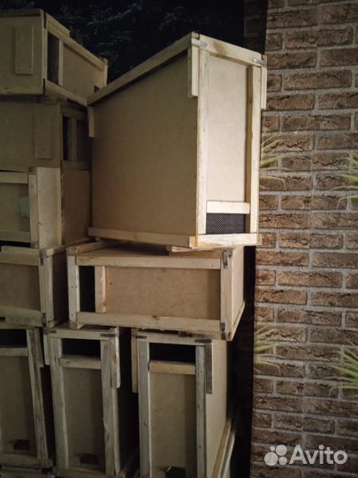 Пчелопакеты