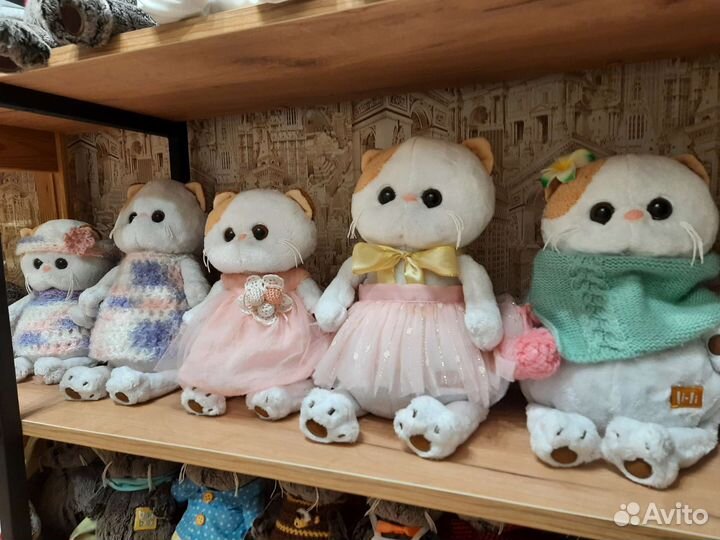 Кот Басик и Кошечка Лили