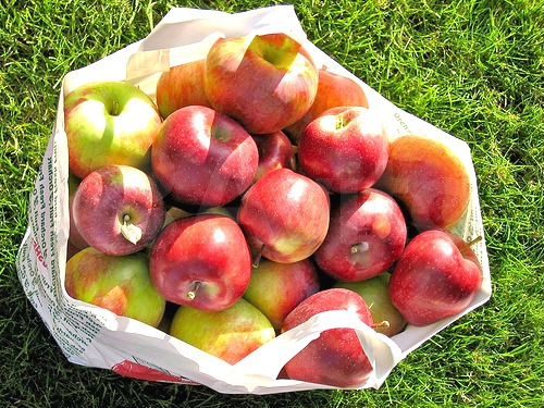 Участок 30 сот. (ИЖС)