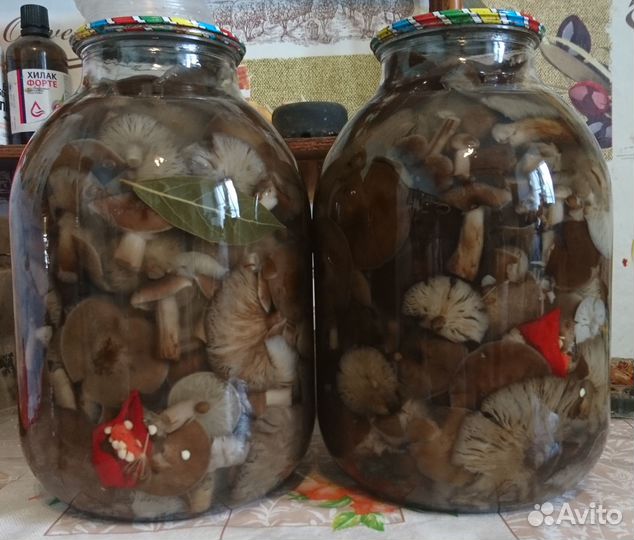 Грибы маринованные