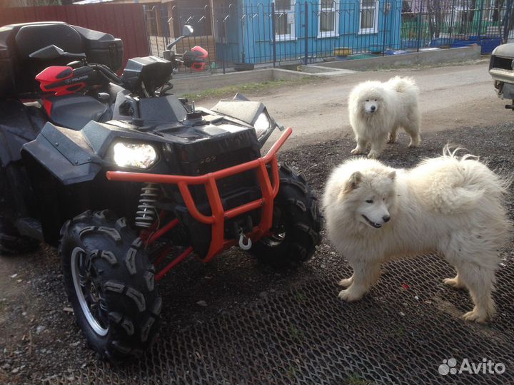 Квадроцикл Polaris Scrambler 850