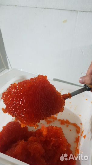 Икра красная (доставка)