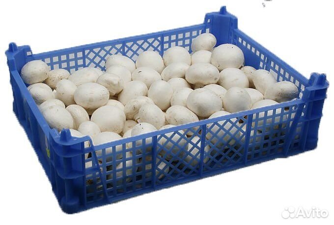 Пластиковые ящики для хранения овощей/фруктов