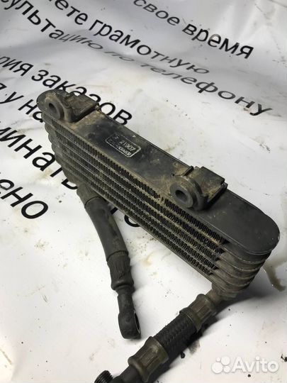 Радиатор масляный Suzuki TL1000 T501