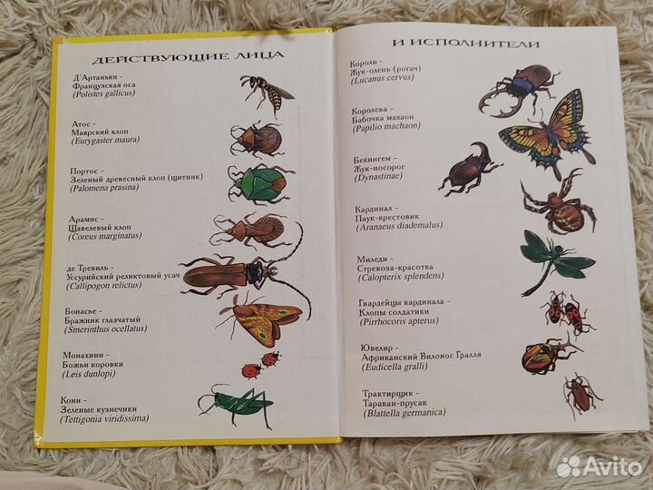 Три мушкетера книга на трех языках