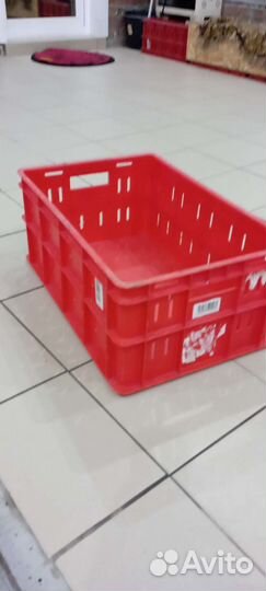 Ящик тара пластиковая