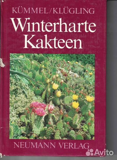 Выносливые кактусы Winterharte Kakteen