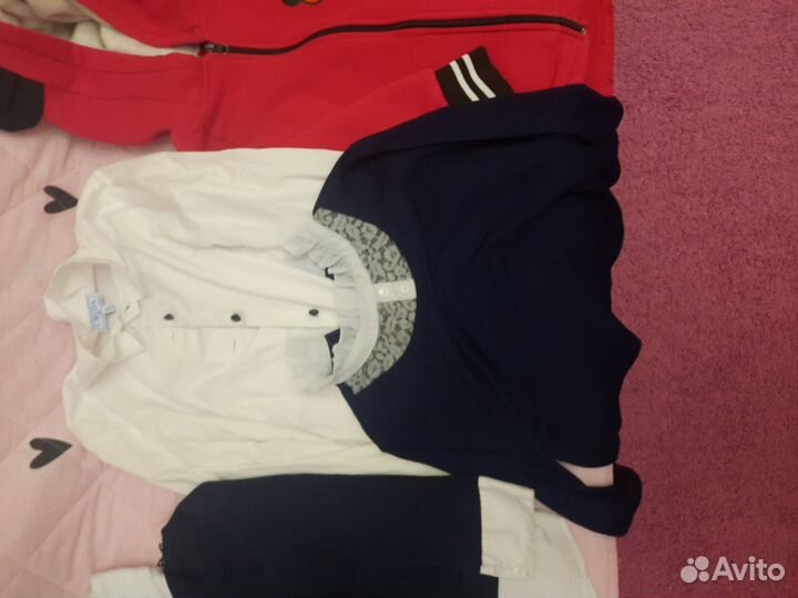 Отдам за корм, пеленки для щенка