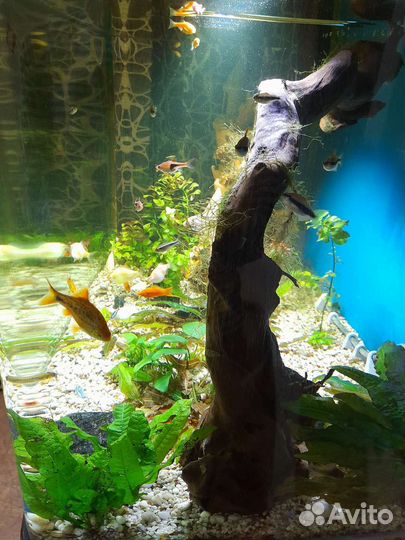 Аквариум jebo r390