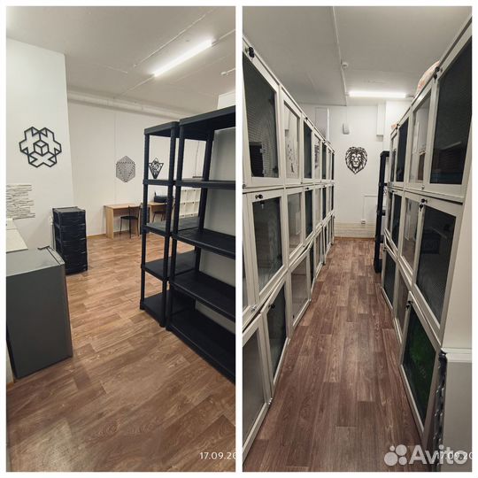 Зоогостиница в аренду