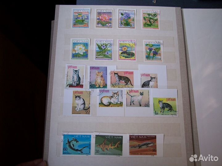 Марки коллекция, альбом в трех объявлениях 1