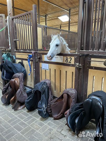 Примерка седел, подбор