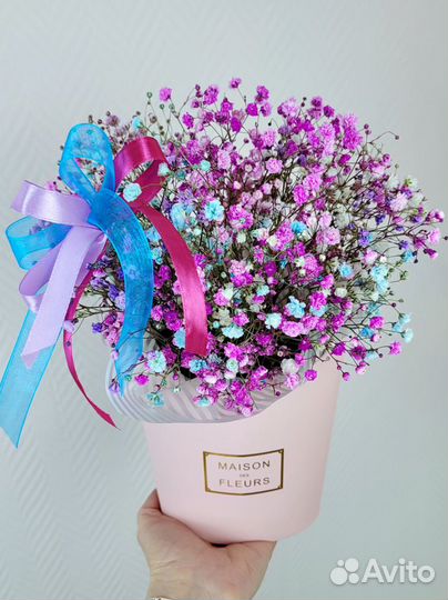 Цветная гипсофила в коробке Челны