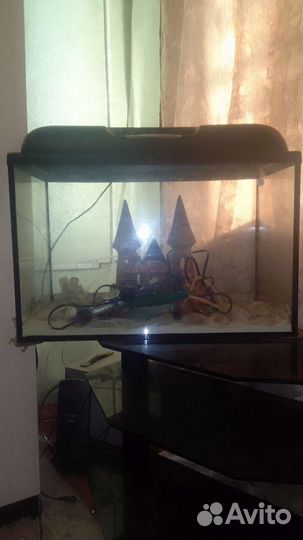 Аквариум