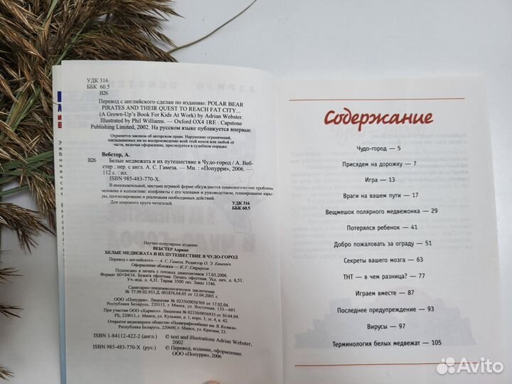 Белые Медвежата и их путешествие.-книга