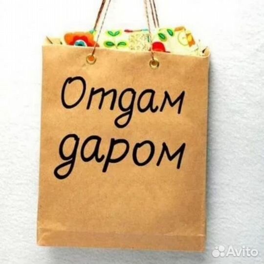 Верхнюю одежду б/у мужскую и женскую