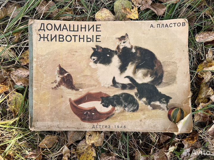 Книга домашние животные 1946 год
