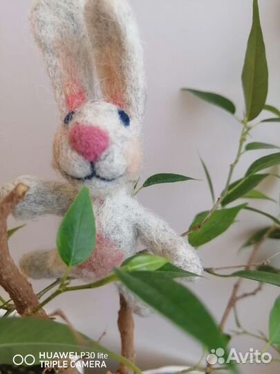 Зайка войлок