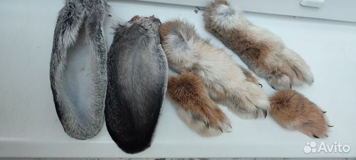 Вкусняшки для собак