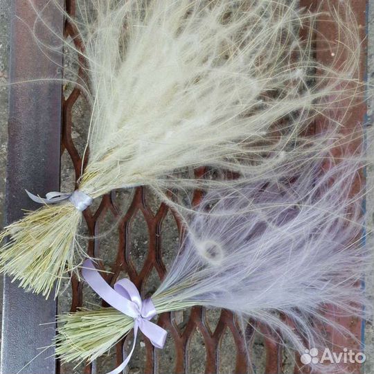 Стифа, сухоцвет