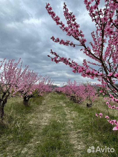 7 чудес Бахчисарая