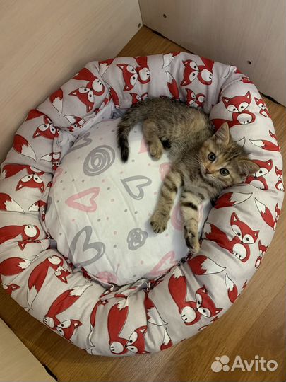 Лежанка для собак и кошек