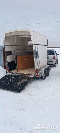 Конеперевозки