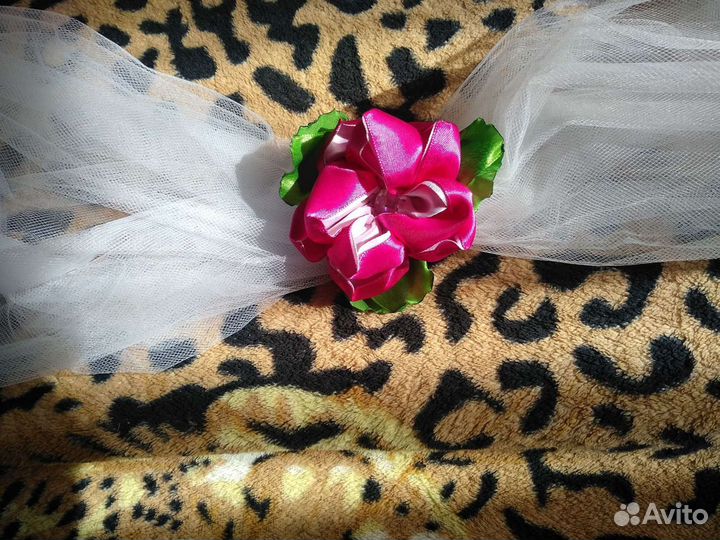 Свадебные ленты на авто