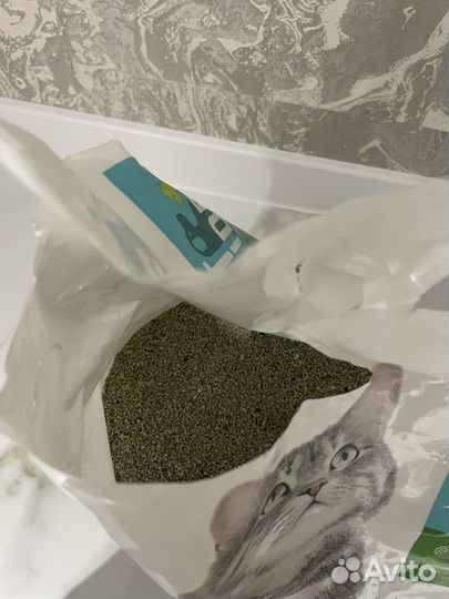 Влажный корм для котят, наполнитель