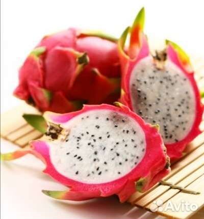 Питахайя (Драконий фрукт) ростки
