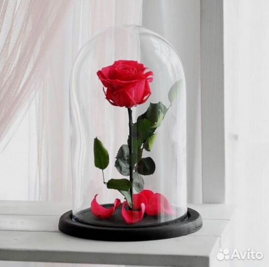 Роза в колбе. Качественная