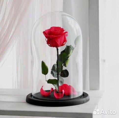 Роза в колбе. Качественная