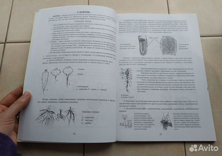 Чаленко Л.В. Биология: Растения. Для абитуриентов