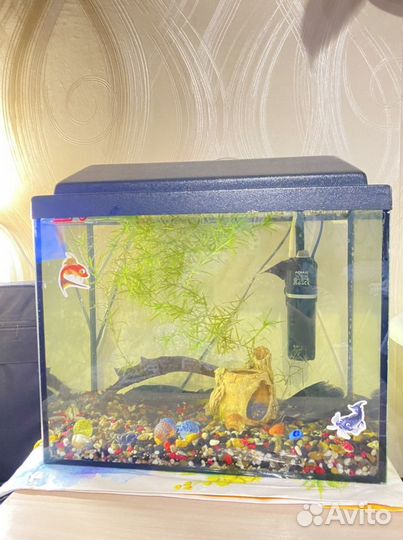 Аквариум