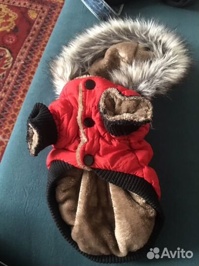 Одежда для собачек зимняя и осенняя