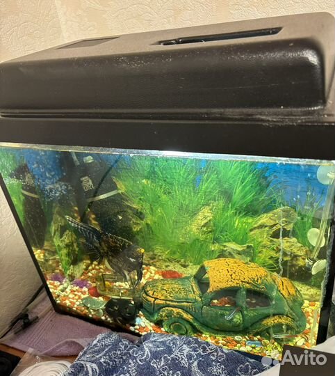 Аквариум