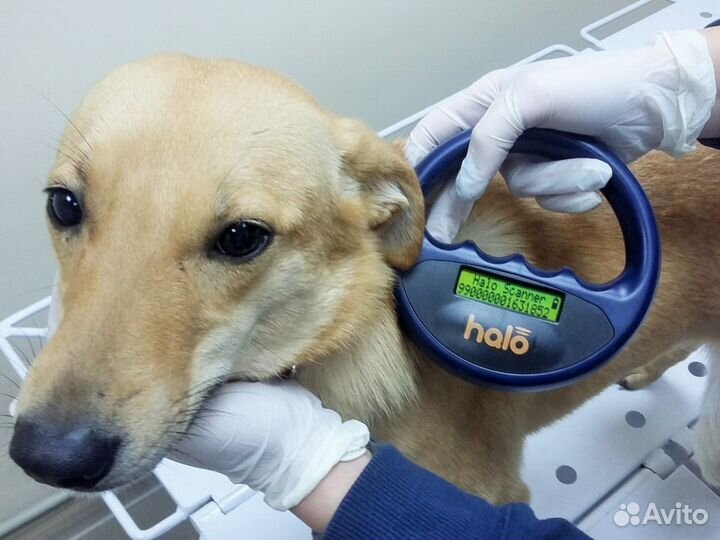 Ветеринар с выездом на дом. 24\7. г. Химки