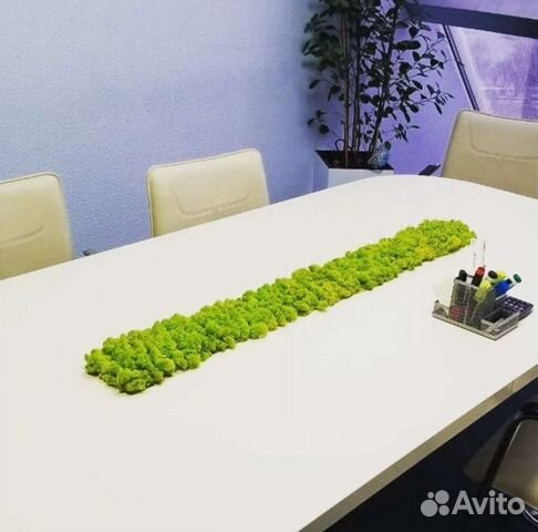 Мох стабилизированный для офиса