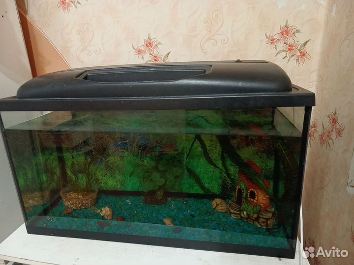 Аквариум