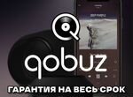 Qobuz Studio Premier Hi-Res навсегда