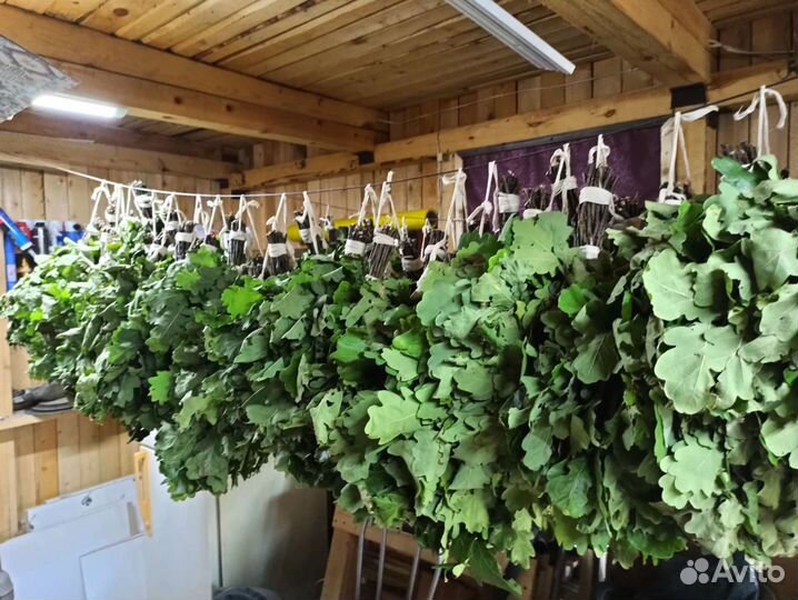 Дубовые веники для бани (+берёза)