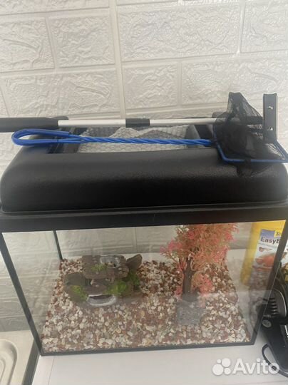 Аквариум на 20 литров в сборе