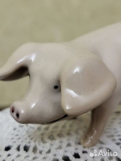 Обаятельный поросенок (Royal Dux)