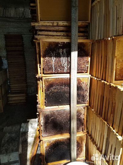 Сушь для пчел