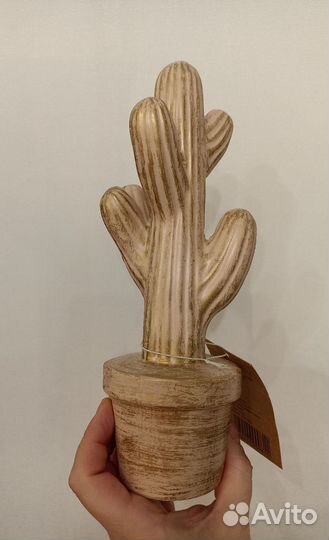 Статуэтка кактус H hconcept