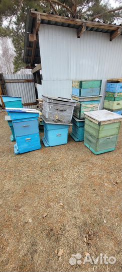 Улей для пчел бу