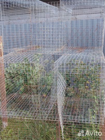 Клетки для кроликов