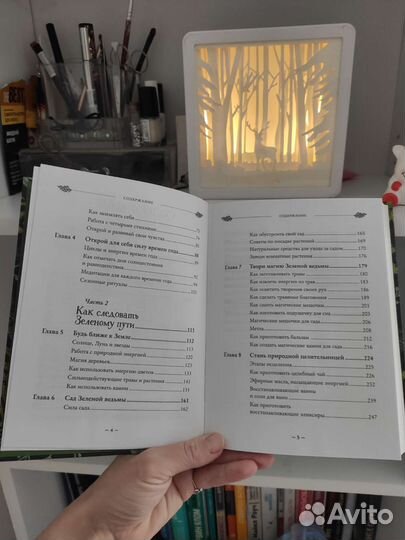 Книга Green witch Эрин Хискок